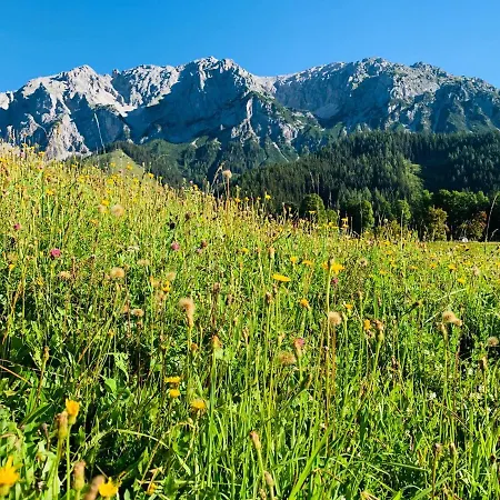 Апартаменты Bergkristallhaus Рамзау