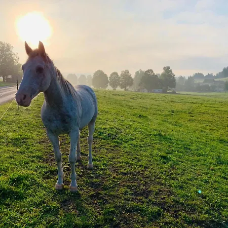 Bergkristallhaus דירה רמסאו אם דכשטיין