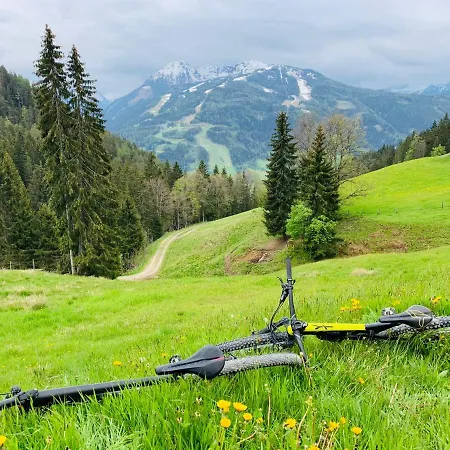 Bergkristallhaus Apartman Ramsau am Dachstein