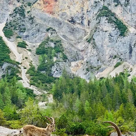 דירה Bergkristallhaus *
