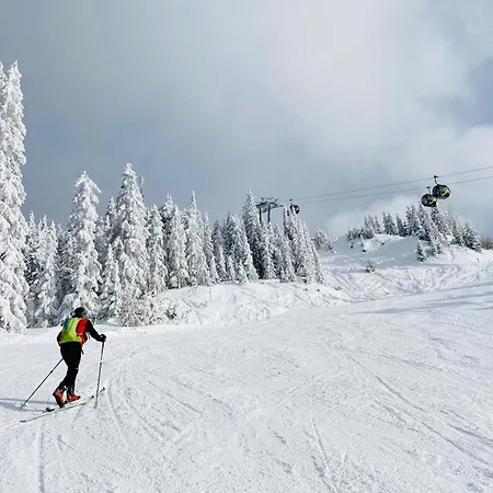 Bergkristallhaus * רמסאו אם דכשטיין