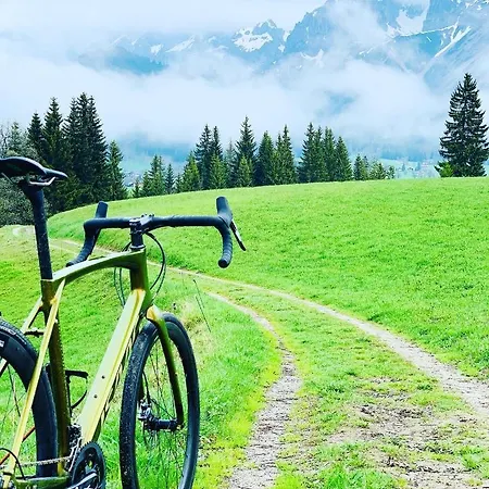 Апартаменты Bergkristallhaus Рамзау