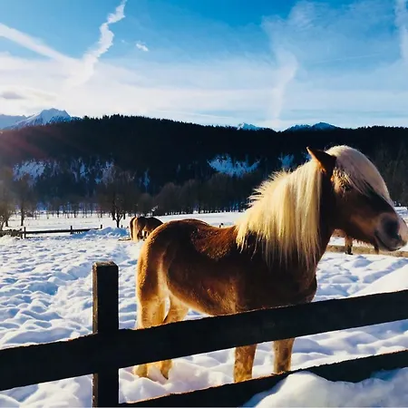 Bergkristallhaus Apartman Ramsau am Dachstein