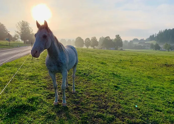 Bergkristallhaus 아파트 람자우 암 다흐스타인