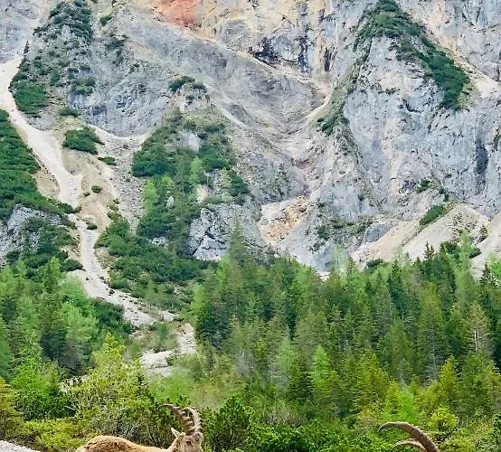 아파트 Bergkristallhaus *