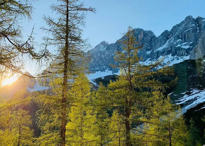 Bergkristallhaus * 람자우 암 다흐스타인