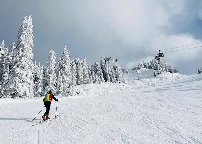 Bergkristallhaus * 람자우 암 다흐스타인