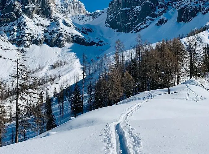 Bergkristallhaus 아파트 *