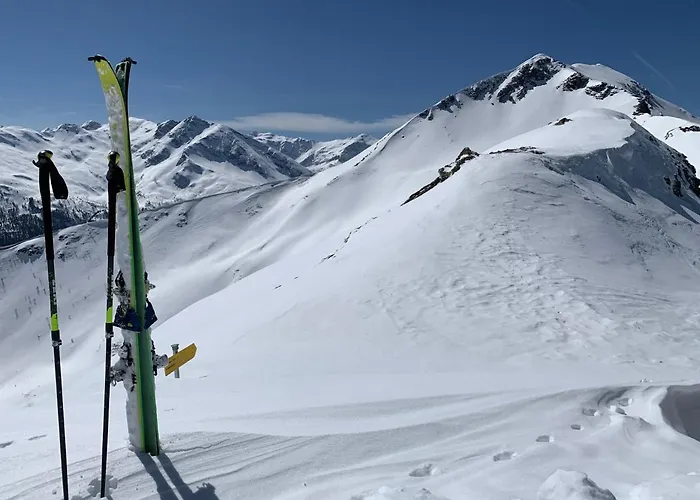 Bergkristallhaus * 람자우 암 다흐스타인