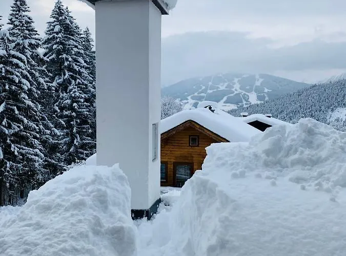 Bergkristallhaus * 람자우 암 다흐스타인