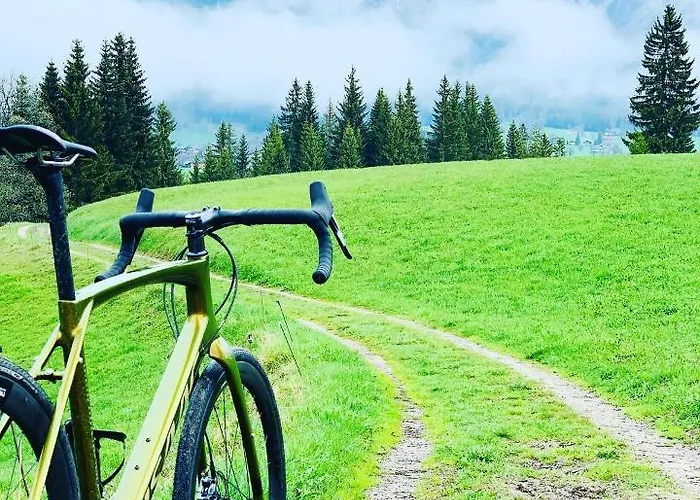 아파트 Bergkristallhaus 람자우 암 다흐스타인