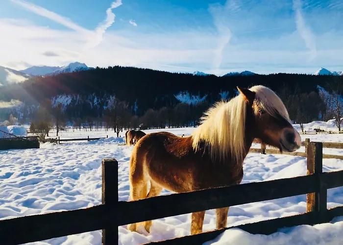 Bergkristallhaus 아파트 람자우 암 다흐스타인